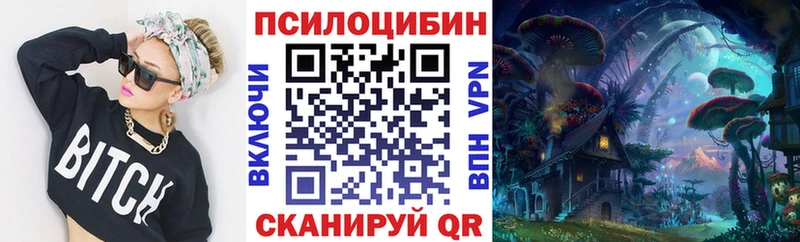 купить   Добрянка  Псилоцибиновые грибы Psilocybe 