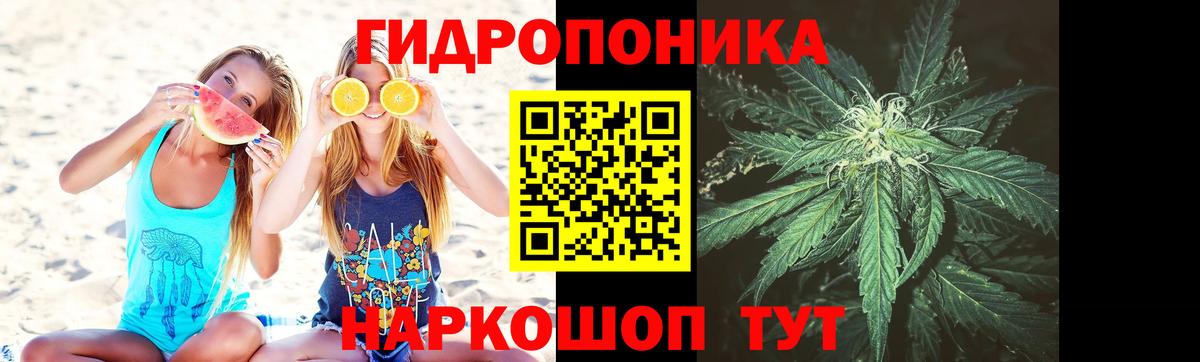 Конопля MAZAR Добрянка